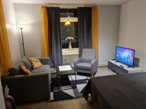 Mysig lägenhet med ett rum och kök 1103